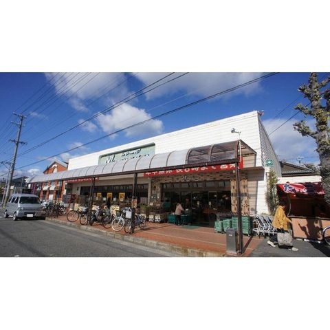 マルヤス橋南店