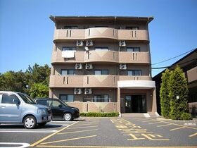 ポリッシュの外観