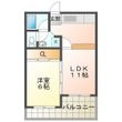 ミューかいぞうの間取図
