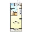 BEREO SANKOUの間取図