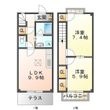 カンフォートMISSAの間取図