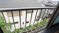 物干し