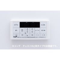 内観