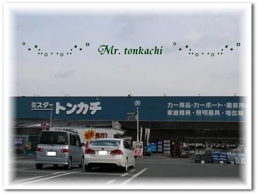 ミスタートンカチ亀山エコー店