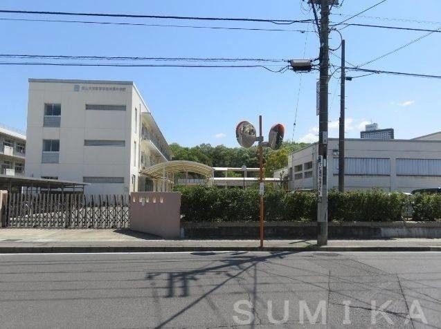 国立岡山大学教育学部附属中学校