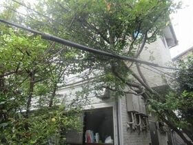 西池ガーデンハイツの外観