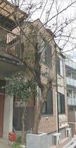 アーバンプレイス笹塚Ⅱの外観