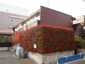 ハウス崎山の外観