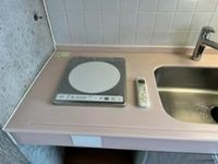 参考写真