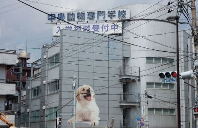 写真：中央動物専門学校
