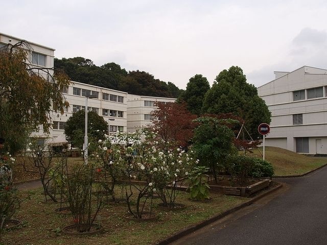 写真:日本女子大学 西生田キャンパス