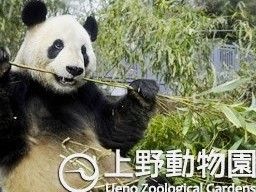 上野動物園