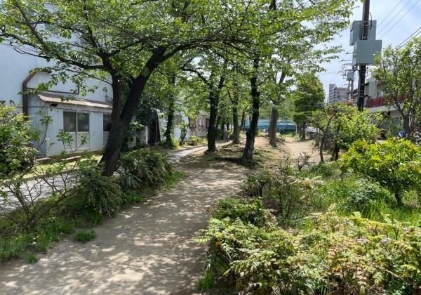 旧呑川緑地