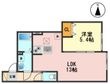 カームカモミール の間取図