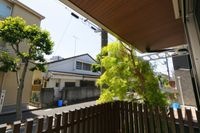 展望