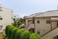 展望
