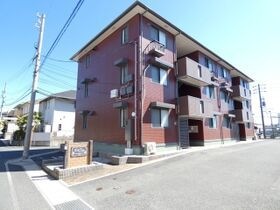 チューリップの外観