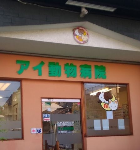 アイ動物病院