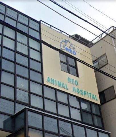 レオ動物病院