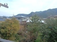 展望