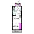 スプランディッドあびこ駅前DUEの間取図