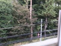 展望