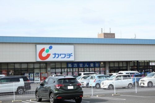 (株)カワチ薬品 千渡店