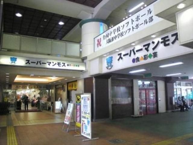 スーパーマンモス