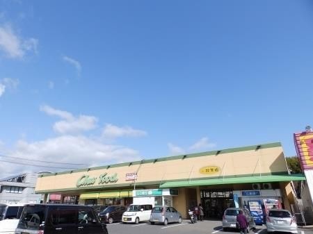 中央フード 平田店