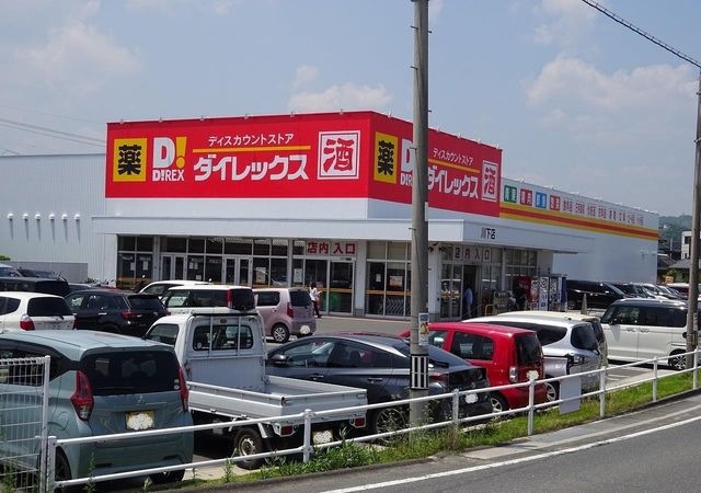 ダイレックス川下店