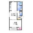 MAISON LUNAの間取図