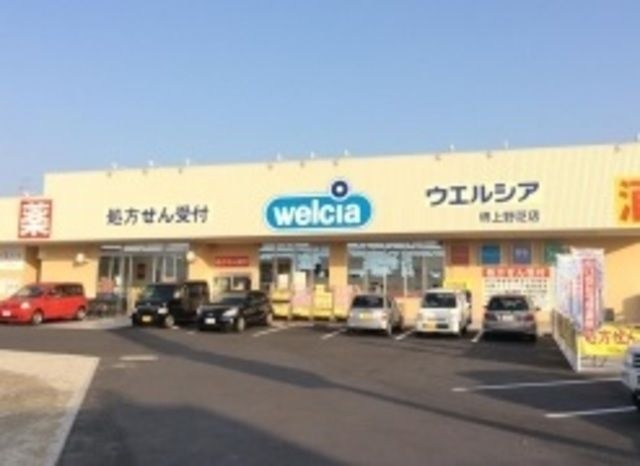 ウエルシア堺上野芝店
