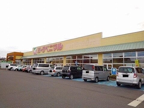 ヨークベニマル矢板店