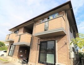ウィルモア赤道の外観