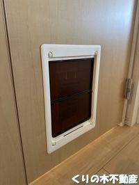 内装もきれいです