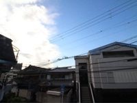 展望