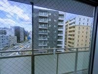 現地からの眺望