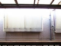 展望