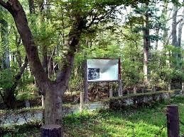 金山森の広場