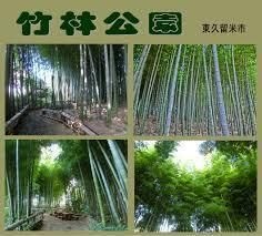 写真：竹林公園