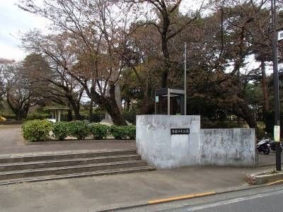写真：清瀬中央公園