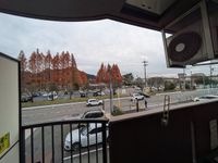 展望