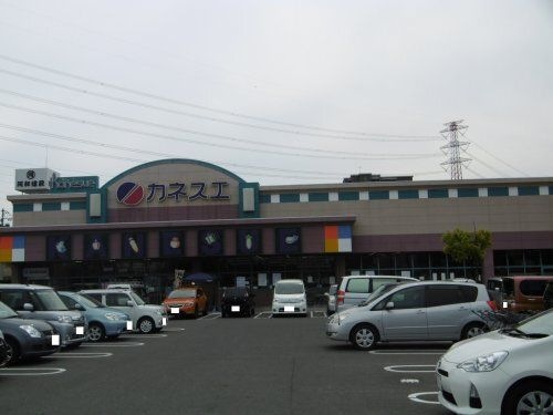 カネスエ岐大前店