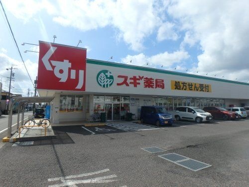 スギドラッグ 長森店