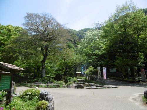 岐阜公園