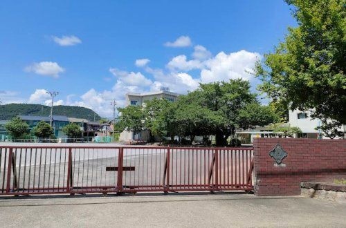 黒野小学校