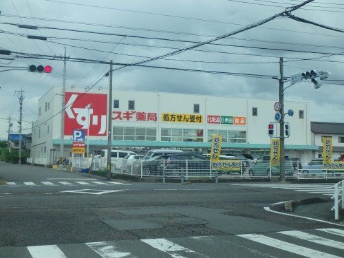 スギドラッグ 柳津店