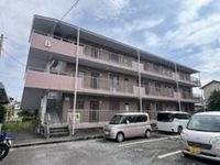 外観も気になるポイント