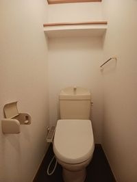 落ち着いた色調のトイレです