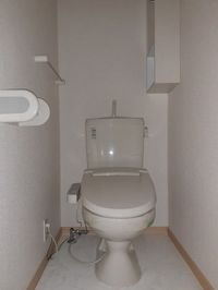 落ち着いた色調のトイレです